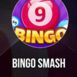 bingo smash apk