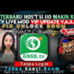 6868 tv mod